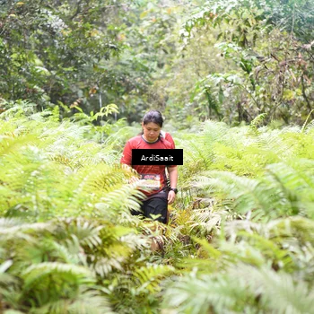 Runner Photo 8554583