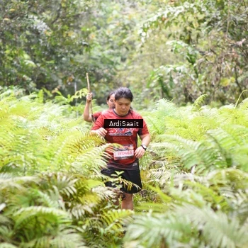 Runner Photo 8554591