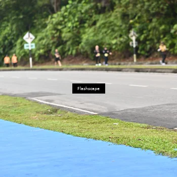 Runner Photo 8554604