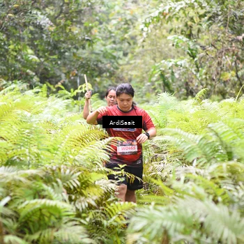 Runner Photo 8554612