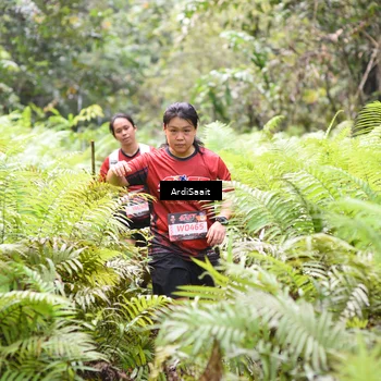 Runner Photo 8554636