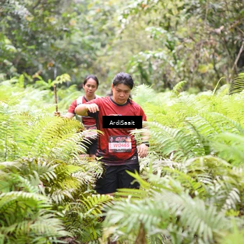 Runner Photo 8554647