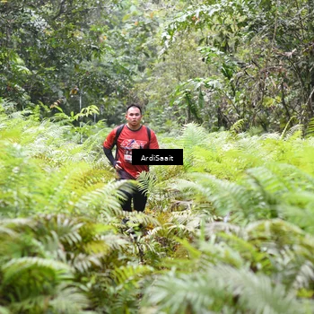 Runner Photo 8554860