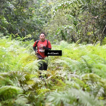 Runner Photo 8554865
