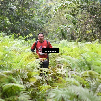 Runner Photo 8554889