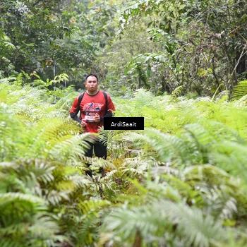 Runner Photo 8554890