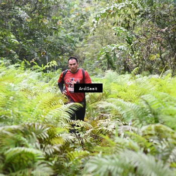 Runner Photo 8554896