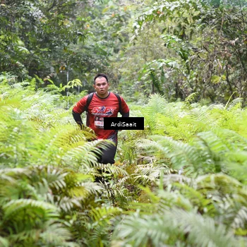 Runner Photo 8554960