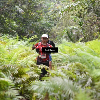 Runner Photo 8555086