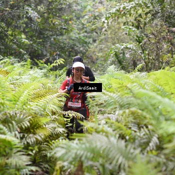 Runner Photo 8555088
