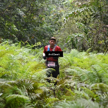 Runner Photo 8555525
