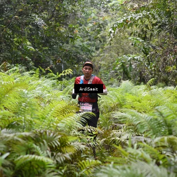 Runner Photo 8555531