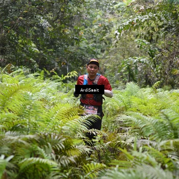 Runner Photo 8555545
