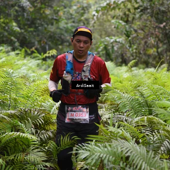 Runner Photo 8555608