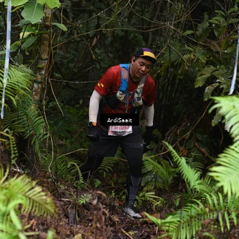 Runner Photo 8555621