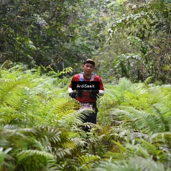 Runner Photo 8555670