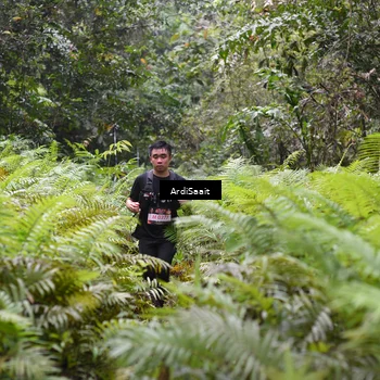 Runner Photo 8555694
