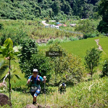 Runner Photo 85557