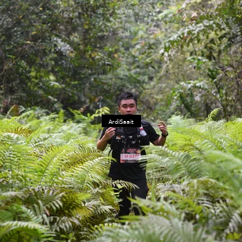 Runner Photo 8555703