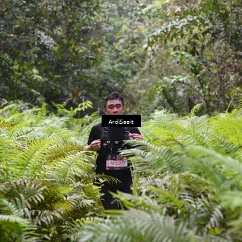 Runner Photo 8555708