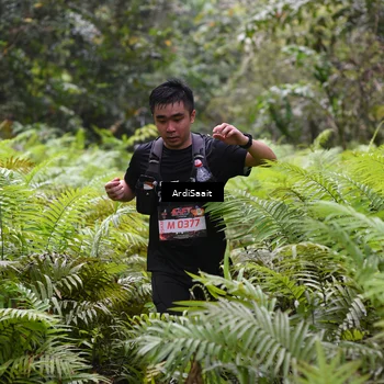 Runner Photo 8555723