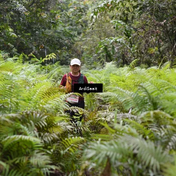 Runner Photo 8555742
