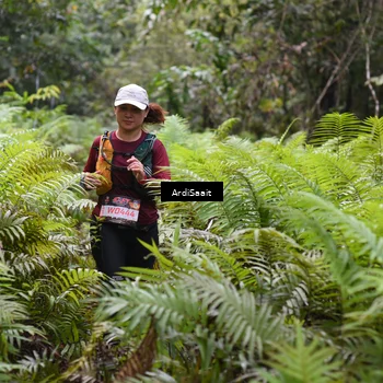 Runner Photo 8555758
