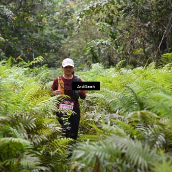 Runner Photo 8555765