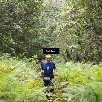 Runner Photo 8555901