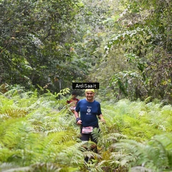 Runner Photo 8555905