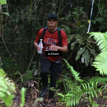 Runner Photo 8556062