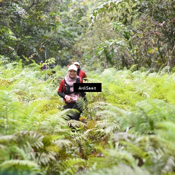 Runner Photo 8556087