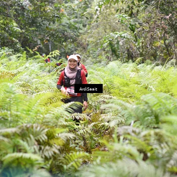 Runner Photo 8556103
