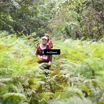 Runner Photo 8556110