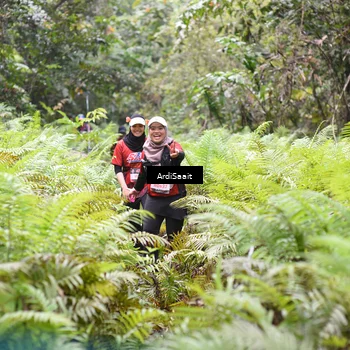 Runner Photo 8556121