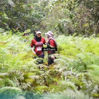 Runner Photo 8556138