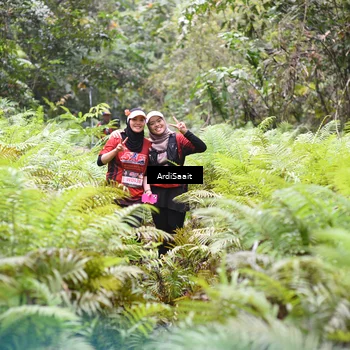 Runner Photo 8556152