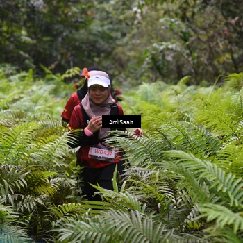 Runner Photo 8556190