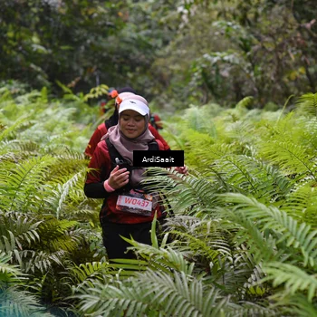 Runner Photo 8556201