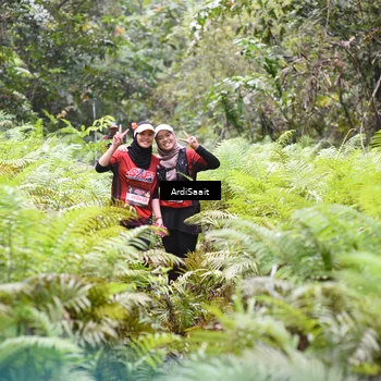 Runner Photo 8556205