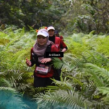 Runner Photo 8556213