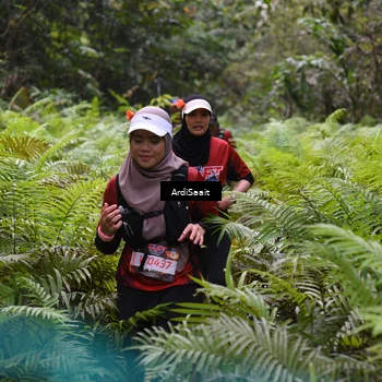 Runner Photo 8556215