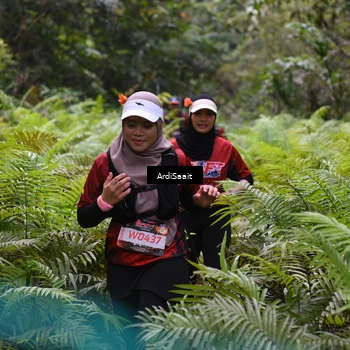 Runner Photo 8556222