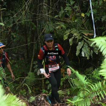 Runner Photo 8556323