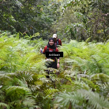 Runner Photo 8556365