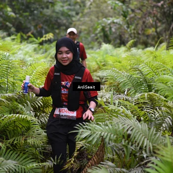 Runner Photo 8556395