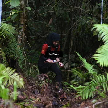 Runner Photo 8556468