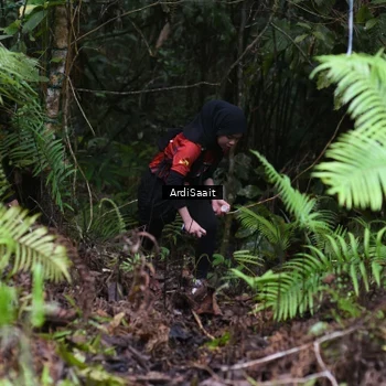 Runner Photo 8556471