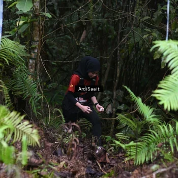 Runner Photo 8556473