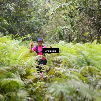 Runner Photo 8556506